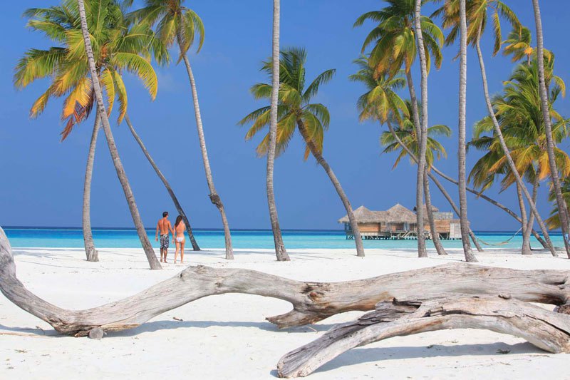 tripadvisor-2015-hotel-of-the-year-gili-lankanfushi-maldives-27