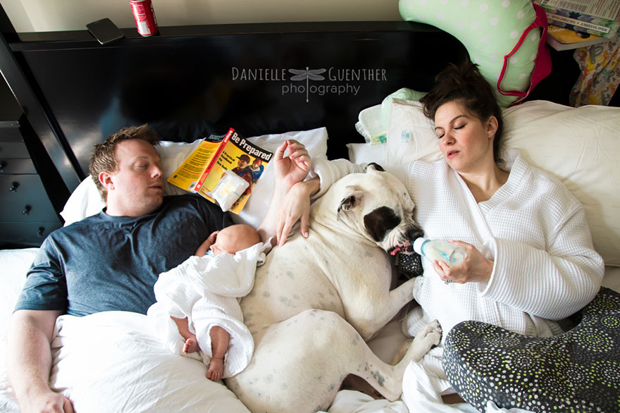 best-case-scenario-realistic-family-chaotic-photography-danielle-guenther-8__880