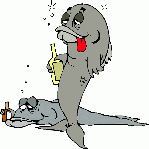 beer-alcohol-fish-592715