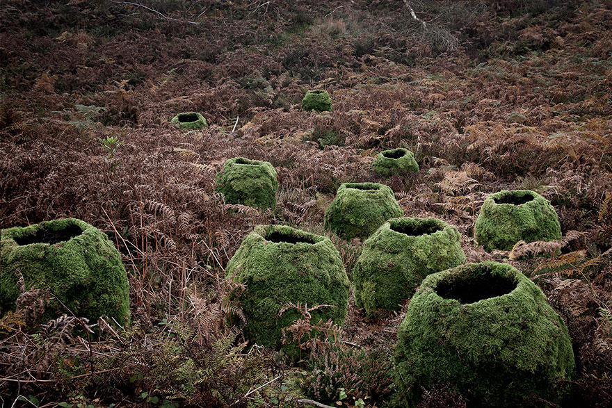 surreal-forest-photograhy-ellie-davis-14__880