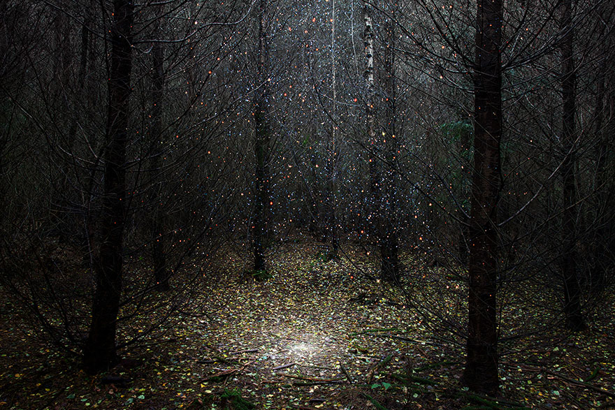 surreal-forest-photograhy-ellie-davis-1__880