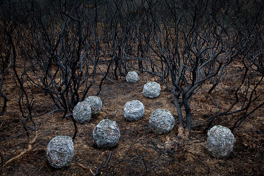 surreal-forest-photograhy-ellie-davis-20__880