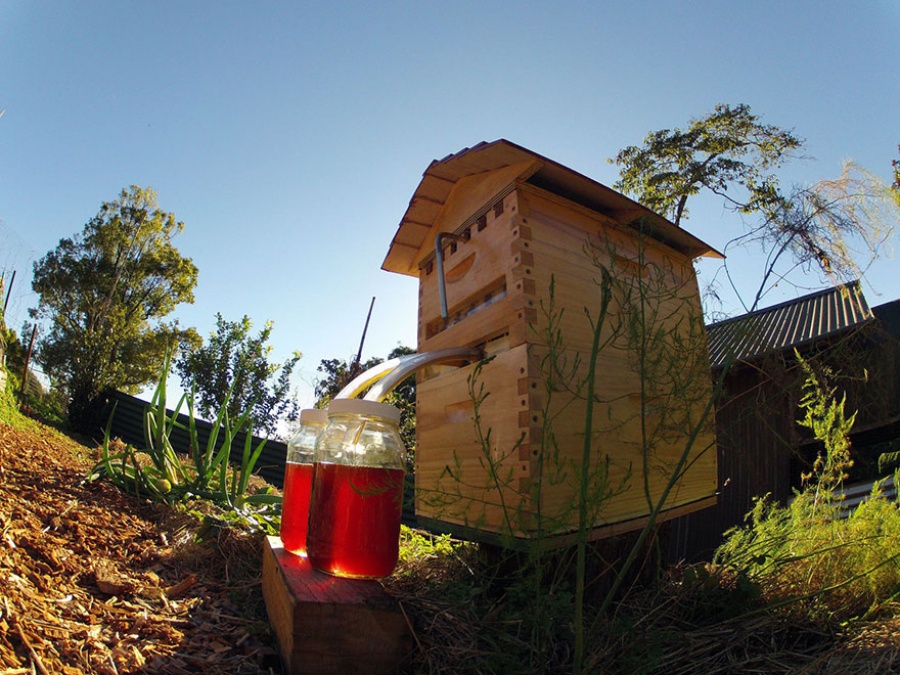 14715110-R3L8T8D-900-honey-on-tap-flow-hive-stuart-cedar-anderson-9