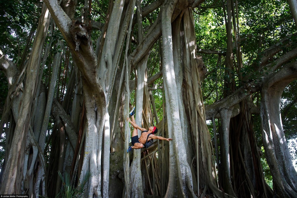 5128405-R3L8T8D-1000-Ricardo_Rhodes_Sarasota_Dancers_Among_Us