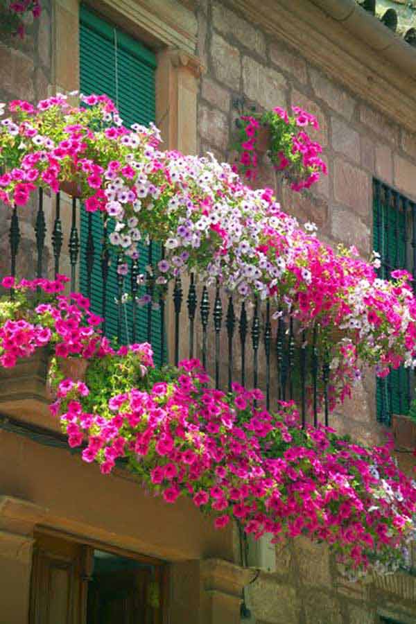 AD-Spectacular-Balcony-Garden-1