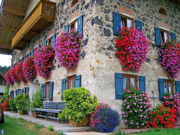 AD-Spectacular-Balcony-Garden-10