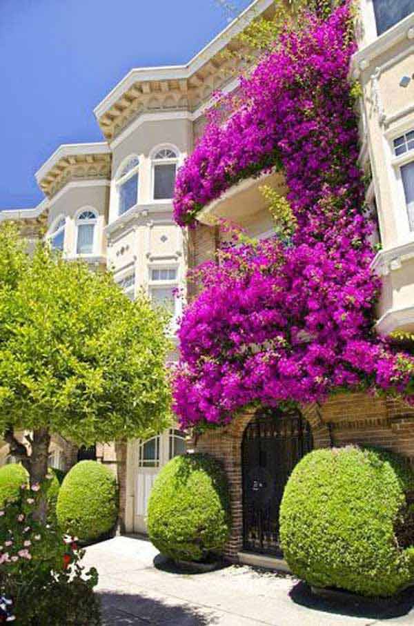 AD-Spectacular-Balcony-Garden-14