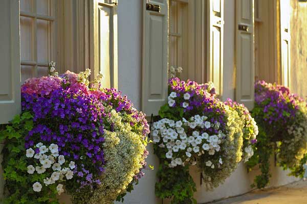 AD-Spectacular-Balcony-Garden-16