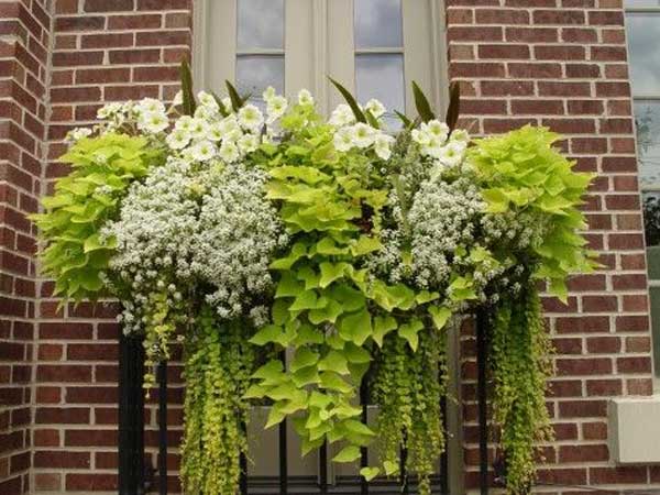 AD-Spectacular-Balcony-Garden-18