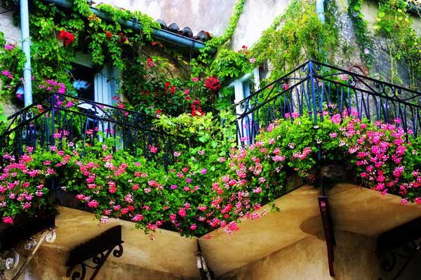 AD-Spectacular-Balcony-Garden-2