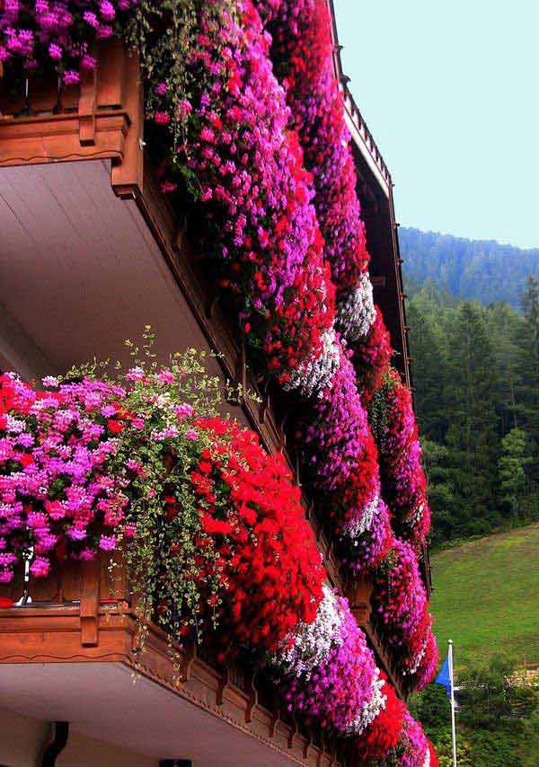 AD-Spectacular-Balcony-Garden-3