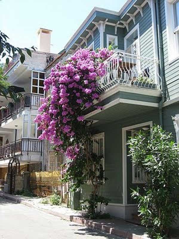 AD-Spectacular-Balcony-Garden-9