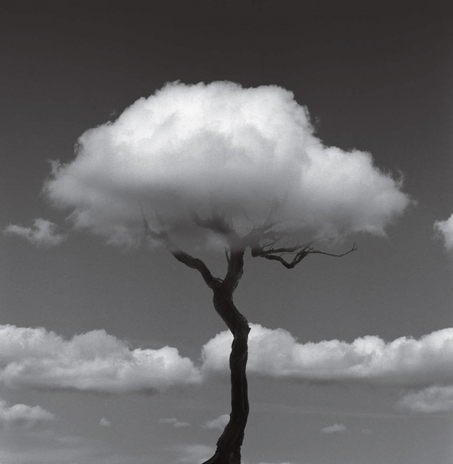 1997810-R3L8T8D-650-chema-madoz-13