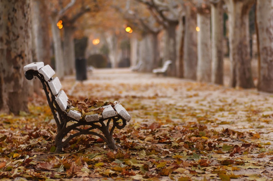 9694810-R3L8T8D-900-AutumnParkBenchFallenLeavesDesktopWallpaper