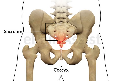 Coccyx-Injury