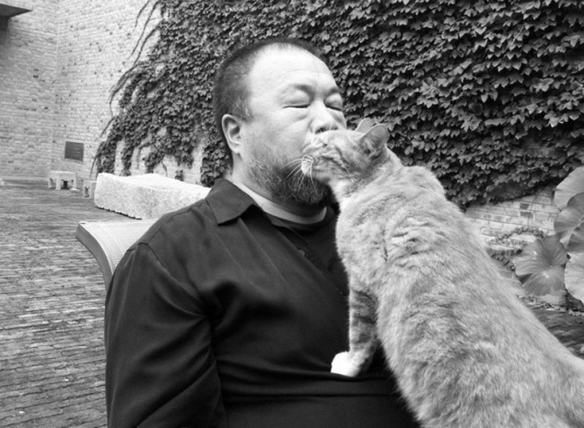 Кинескиот уметник Аи Веивеи и неговата мачка