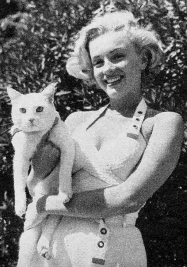 Мерлин Монро и нејзината мачка Мицу