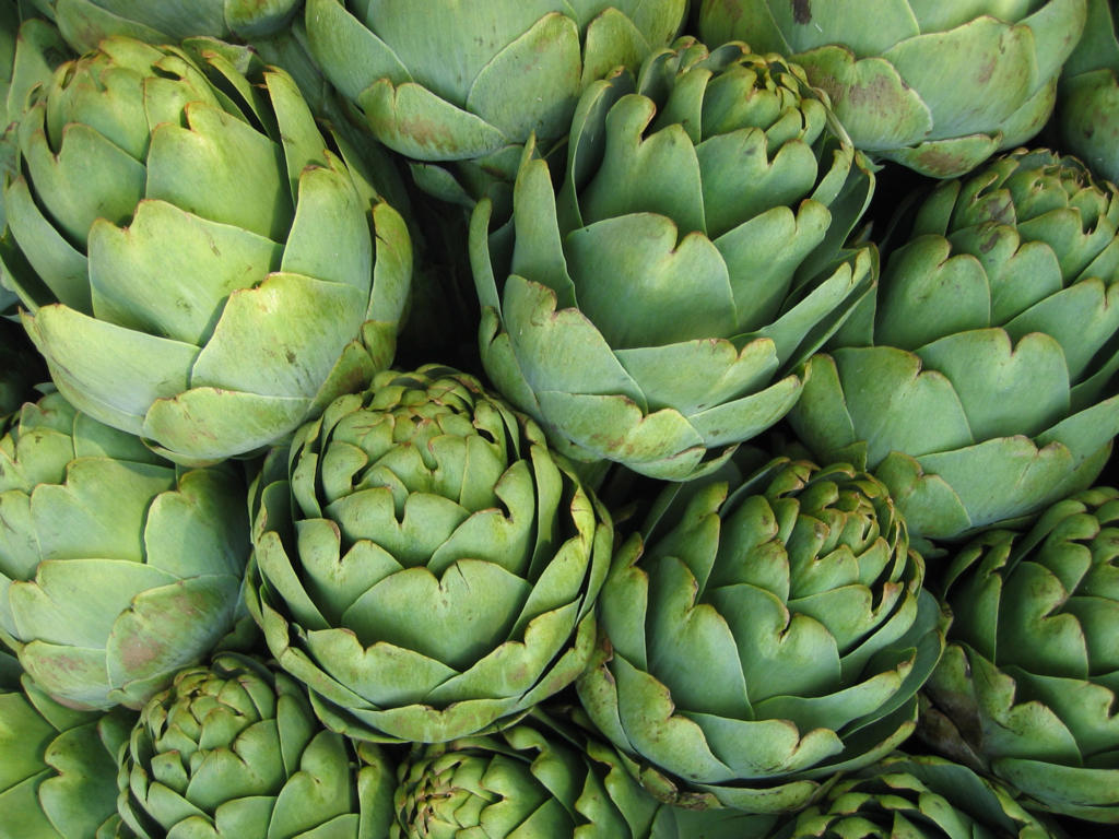 artichokes_bkgrd