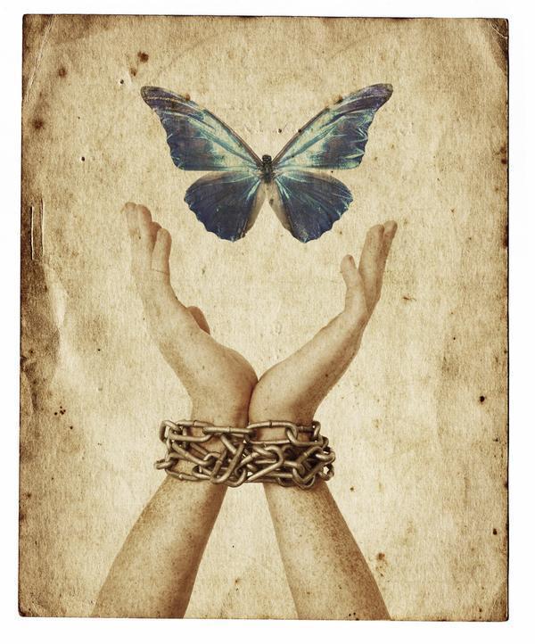 freedom-butterfly