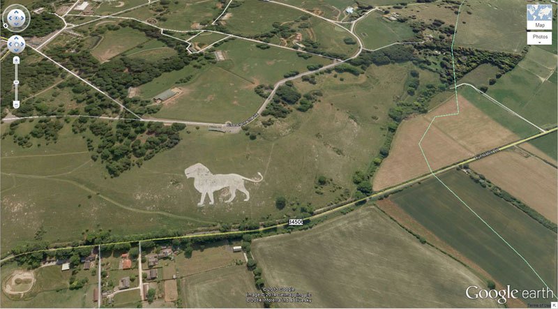 lion-google-earth