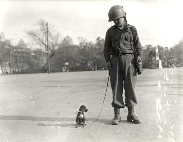 silly-wwii-pictures-1