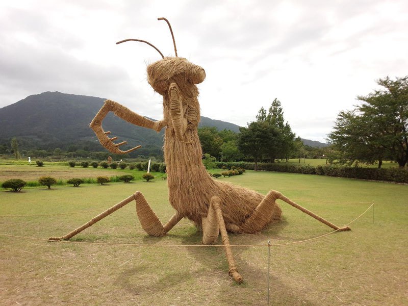 straw-art-festival-niigata-city-japan-18