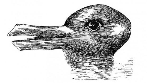 зајак-патка
