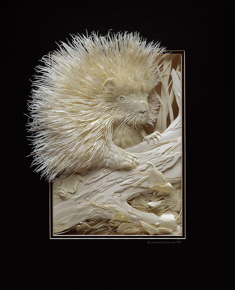 3d-paper-animal-sculptures-by-calvin-nicholls-1