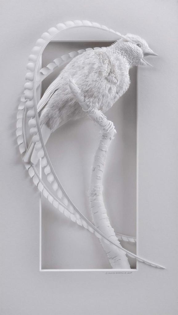 3d-paper-animal-sculptures-by-calvin-nicholls-14