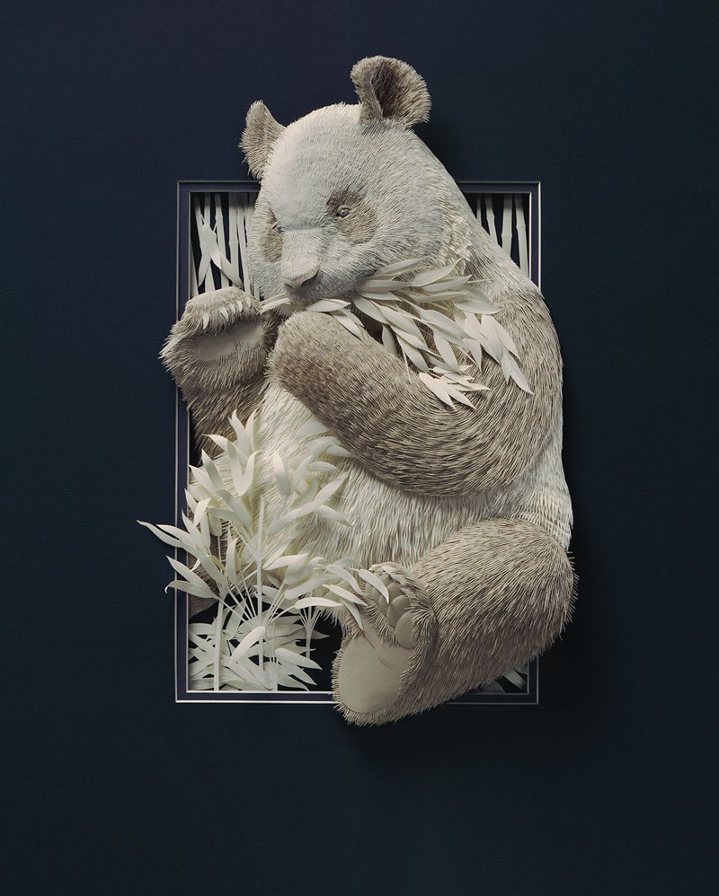 3d-paper-animal-sculptures-by-calvin-nicholls-4