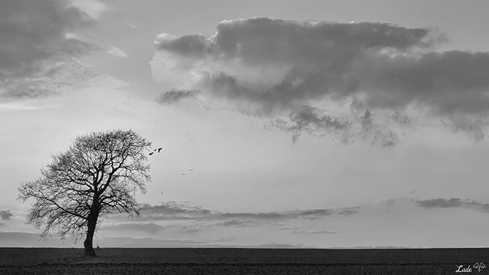 amazing-cloud-formations-20__700