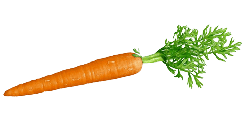 carrots