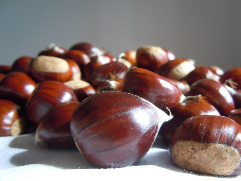 chestnuts-nutrition-facts-and-health-benefits-featured