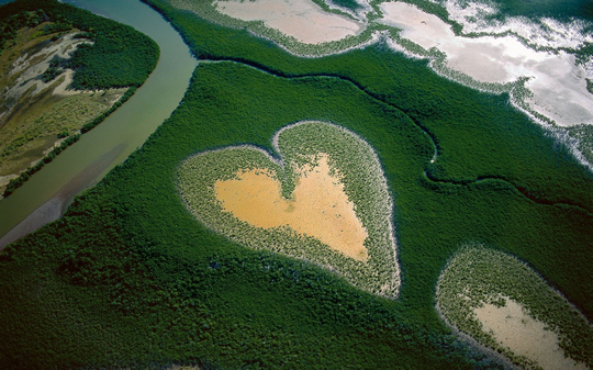 heart_shaped_coeur_de_voh_new_caledonia