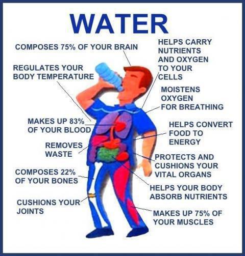 why-is-drinking-water-so-important-for-your-health
