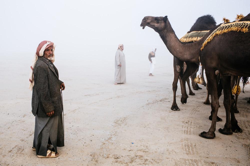 camel-beauty-contest-200-1450888528-size_1000