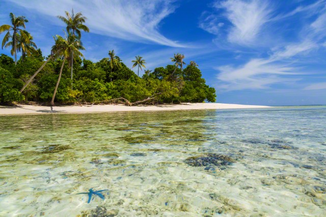 02 Feb 2015, Malaysia --- Idyllic tropical beach & starfish, nr Semporna, Sabah, Borneo, Malaysia --- Image by © Peter Adams/JAI/Corbis