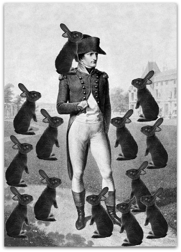 Napoleon-vs.-Bunnies[1]