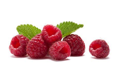 raspberry-ketone-manufacturers