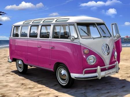 samba_bus-pink-450x337[1]