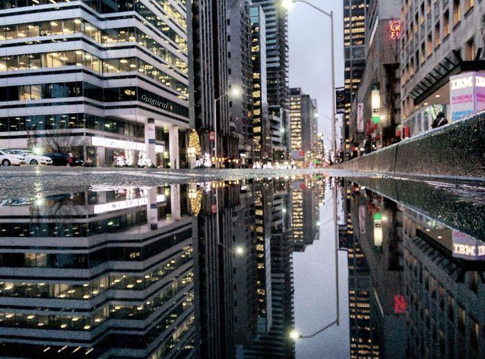 the-parallel-worlds-of-puddles-in-toronto-5__700