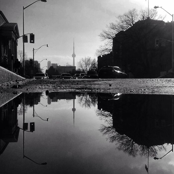 the-parallel-worlds-of-puddles-in-toronto-7__700