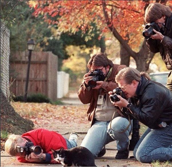 paparaci okolu mackata na bil klinton