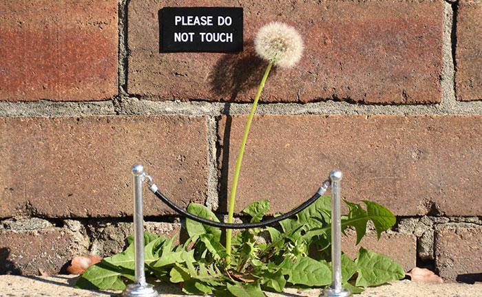 funny-sign-urban-art-michael-penderson-australia-thumblandscape