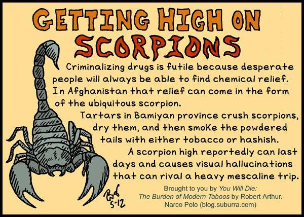 scorpion-smoking[1]
