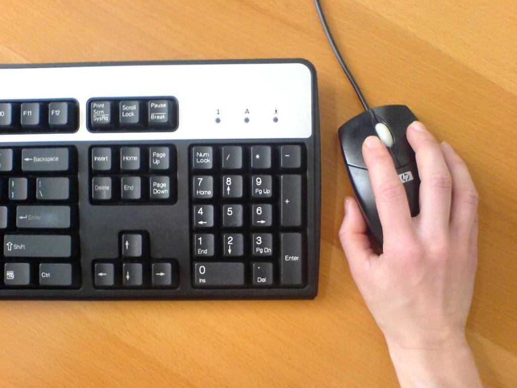 mouse and keyboard