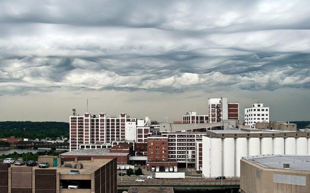 Undulatus-asperatus-12