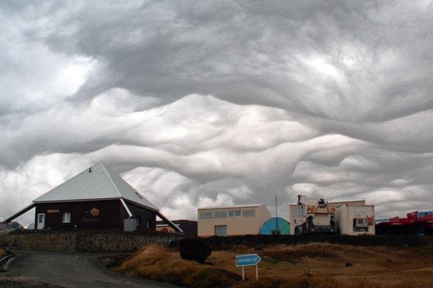 Undulatus-asperatus-5