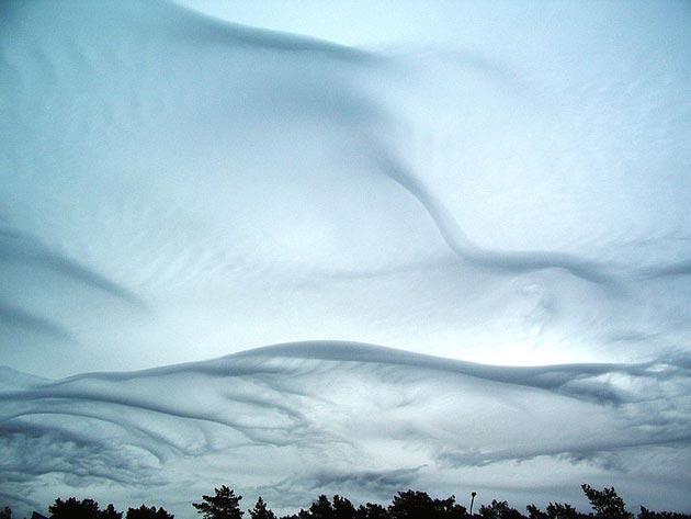 Undulatus-asperatus-9