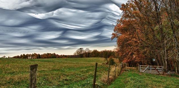 Undulatus-asperatus